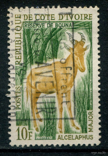 Кот д'Ивуар - 1963г. - животные, 10 F - 1 марка - гашёная. Без МЦ!