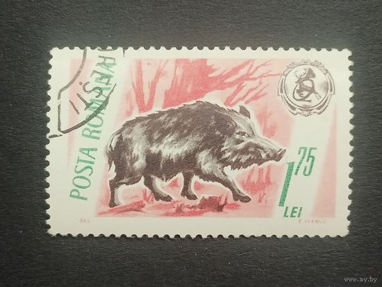 Румыния 1965. Дикие животные и трофеи