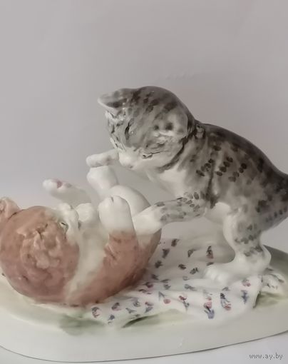 Котята. Конаково.