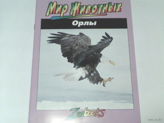 000031/ОРЛЫ