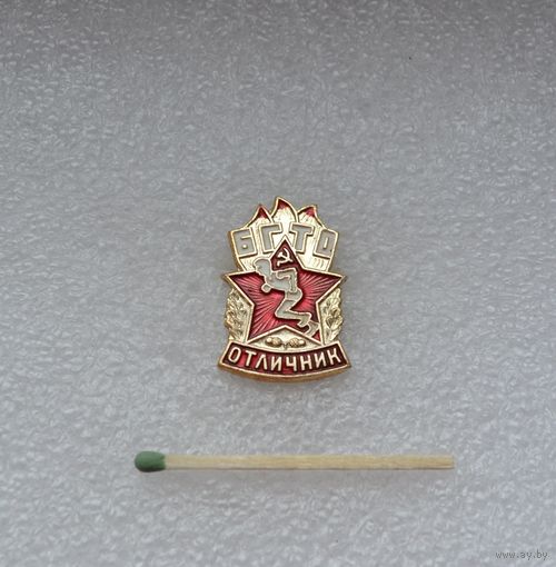 Отличник БГТО.