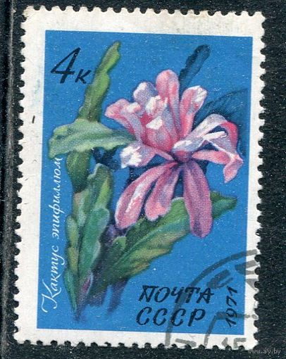 СССР 1971.. Флора. Кактус Эпифиллюм