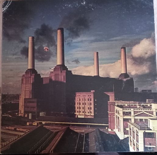 Pink Floyd – Animals / Japan