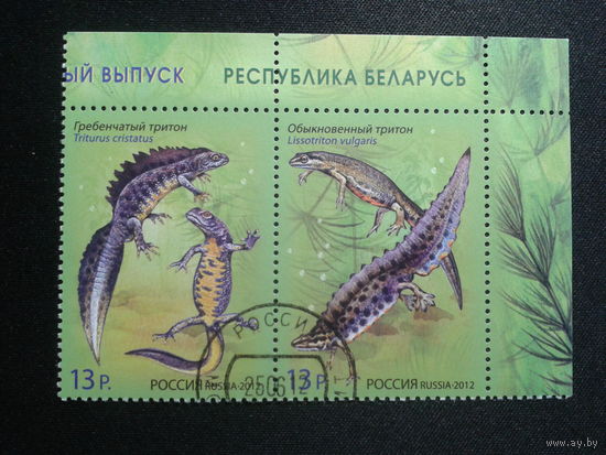 Россия 2012 Тритоны, сцепка, совм. выпуск с Беларусью Михель-2,8 евро гаш