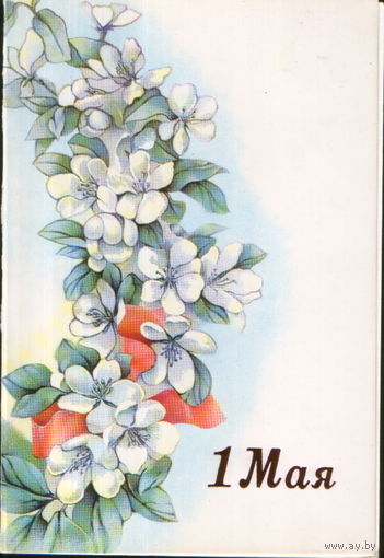 Чистая двойная открытка из сувенирного комплекта 1988г. "1 Мая. Яблоневый цвет" худ. И. Артемова