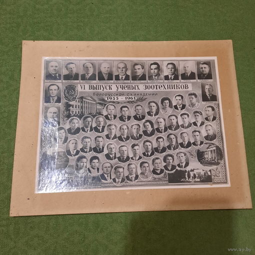 VI выпуск учёных зоотехников Белорусской сх. академии 1955 - 1961.