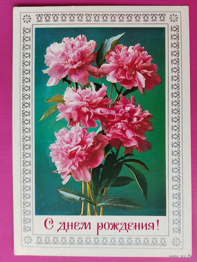 С днём рождения! Чистая. 1976 года. Савин. 2311.