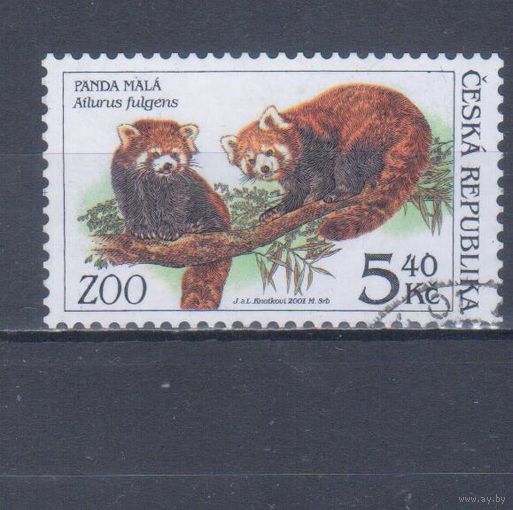 [716] Чехия 2001. Фауна зоопарка.Малая панда. Гашеная марка.