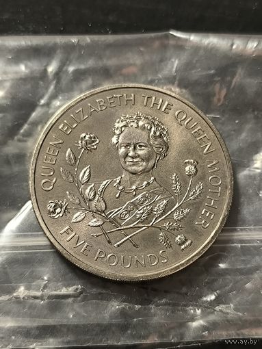5 pounds Guernsey