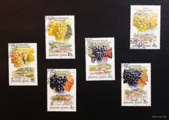 Венгрия 1990 г. Сорта винограда. Виноградники. Флора, полная серия из 6 марок #0231-Ф1P45