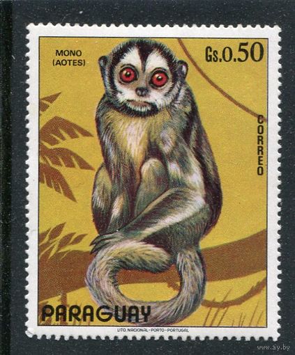 Парагвай. Фауна. Игрунка