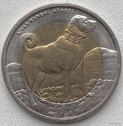 Турция 1 лира 2010 г. Красная книга. Собака
