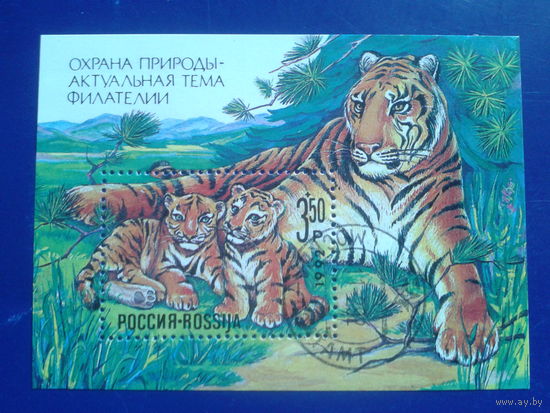 Россия 1992 Охрана природы, тигры Блок