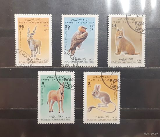 Афганистан. 1989 год. Фауна (1044)