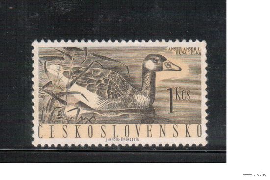 Чехословакия-1960,(Мих.1232)  **   , Фауна, Утка