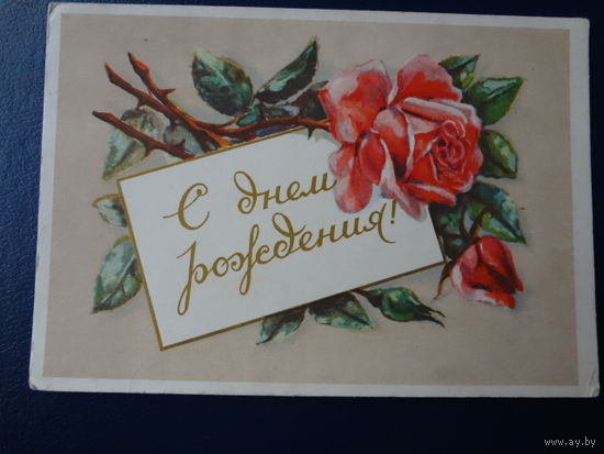 С днем рождения!  1956 г.  Розы.