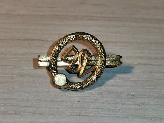 Знак "DSV", немецкая, лыжная ассоциация, тяжёлый металл, клейма.