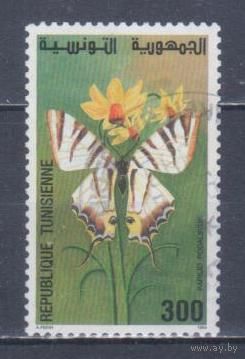[1073] Тунис 1994. Фауна.Бабочка. Гашеная марка.