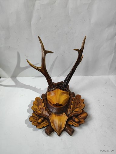 Рога косули на резном медальоне.