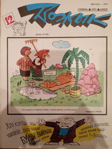 Журнал Вожык 12 выпуск 1993 год