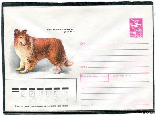 СССР 1989. ХМК. Конверт. Шотландская овчарка (колли)