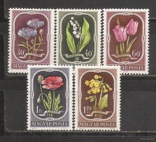 ФФ1 Венгрия 1951 Цветы