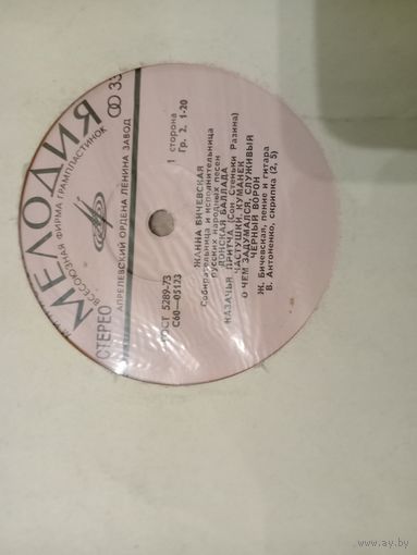 Виниловая пластинка