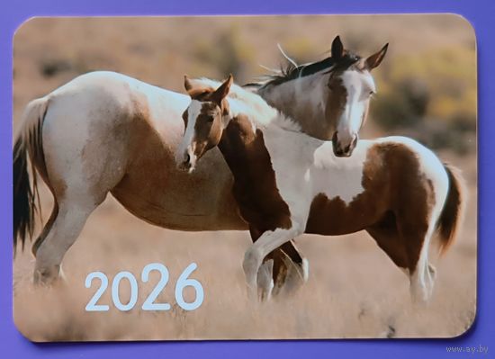 Лошади. Календарик, глянец, 2026. Траско