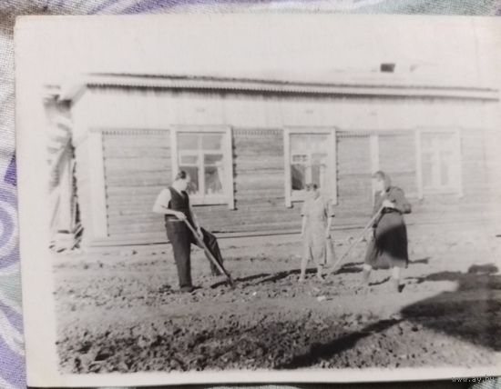 Фото в коллекцию