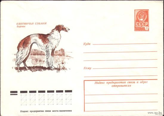1978 год ХМК Борзая 78-598