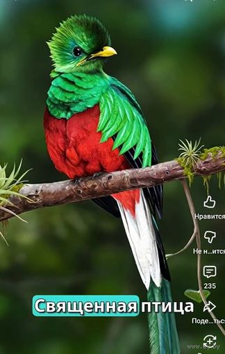 Werty71 Гватемала 1 кетсаль 2024 UNC банкнота 100 лет Национальной валюте кетцаль