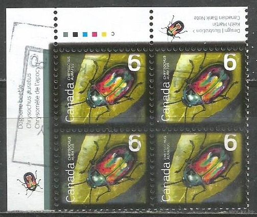 Канада. Жук Ауратус. 2010г. Mi#2625. Кв.блок.