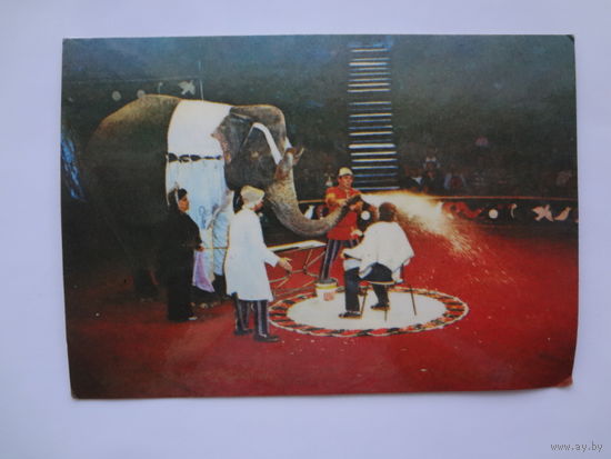 Календарик 1990 г. 10 лет Свердловскому цирку.