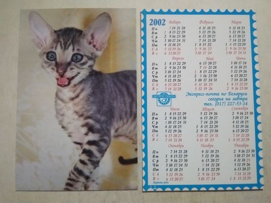 Карманный календарик . Котик. Белпочта. 2002 год