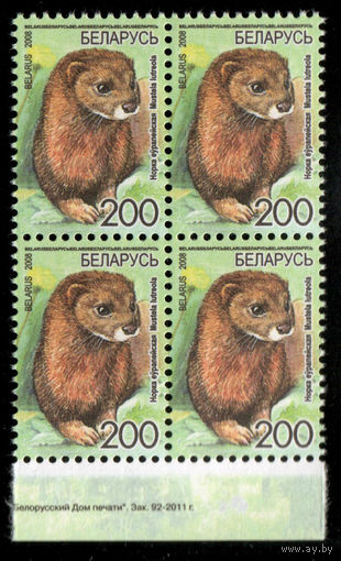 Беларусь. 2008. Стандарт. Норка европейская (200р) (з.92-2011)