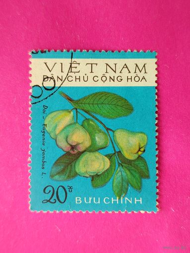 Вьетнам. Флора. ( 1 марка ). 11-1.