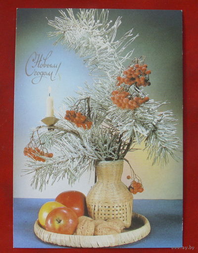 С новым годом! Чистая. 1990 года. Фото Киндровой. 1299.