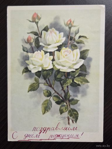 Романов Роза Аэлита 1964 чистая открытка СССР