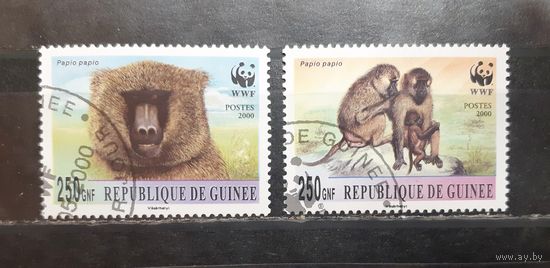 Республика Гвинея. 2000 год. Фауна. Обезьяны (1056)