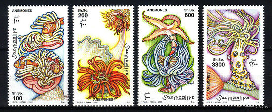 2000 Сомали. Актинии или морские анемоны