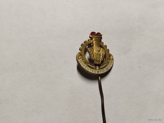 Добровольный пожарный Венгрия