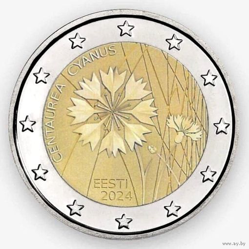 2 евро Эстония 2024  Василёк - национальный цветок Эстонии UNC из ролла