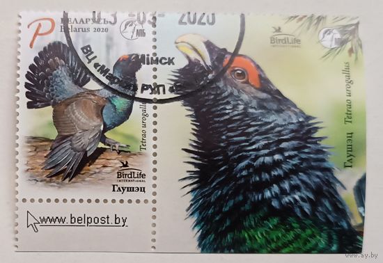 Птица года. Глухарь. Полная серия с купоном, 2020