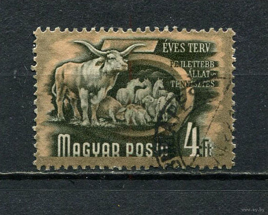 Венгрия - 1951/1953 - Пятилетний план 4Ft - [Mi.1184] - 1 марка. Гашеная.  (Лот 20Ei)-T5P18