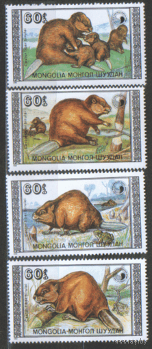 МНГ. М. 2021/24. 1989. Бобры. Чист.