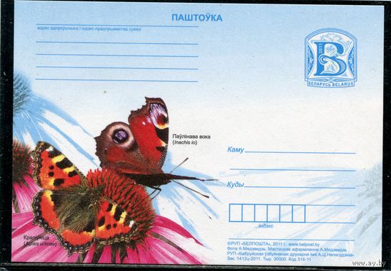 Беларусь 2011. ПК. Фауна. Бабочка крапивница