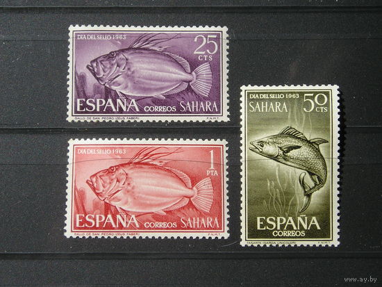 Испанская Сахара 1963 Рыбы