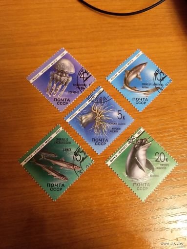 1991 СССР загорский 6214-6218 фауна моря гашеная полная серия MNH** (сф-6)