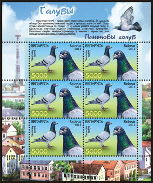 Птицы, голуби, блок (лист), Беларусь, 2011 - марки, фауна