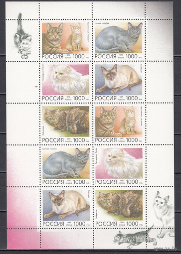 Фауна. Кошки. Россия. 1996. Малый лист. СК N 266-270 (300 р)